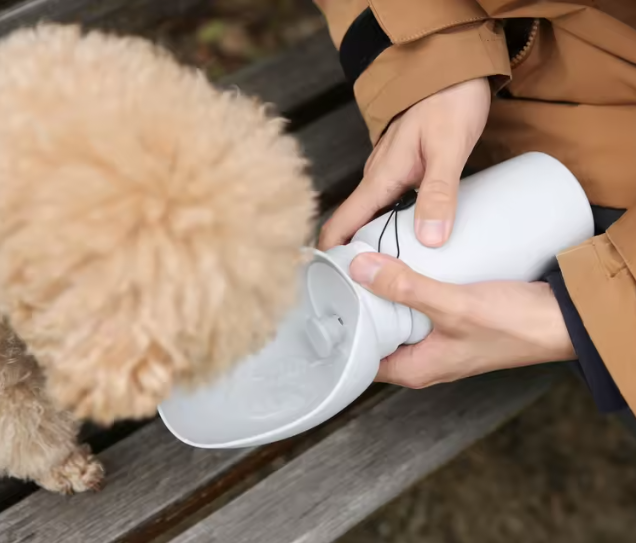 Trailsip Bottle